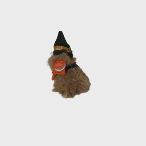 8" Animated Halloween Puppy, I sign "Yo Ho Ho"